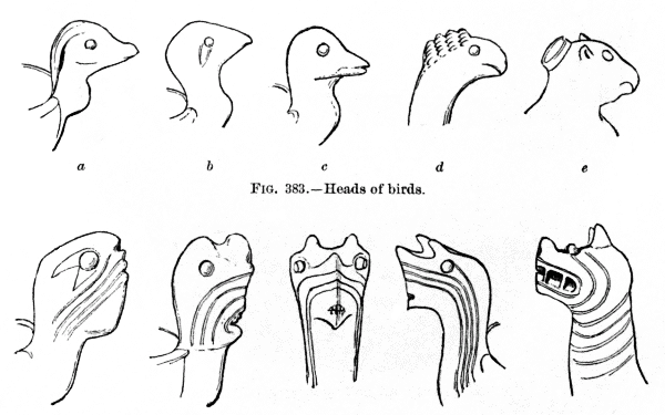 Fig. 383.--Heads of birds.