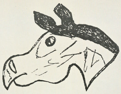 Line drawing of a horse’s head.