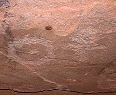 Petroglyph