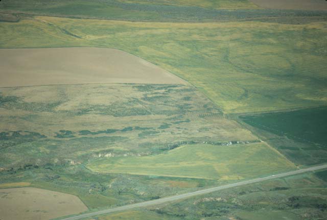 Image23