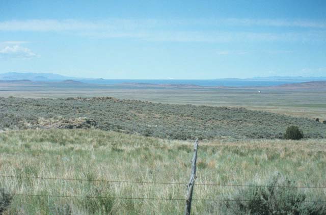 Image61