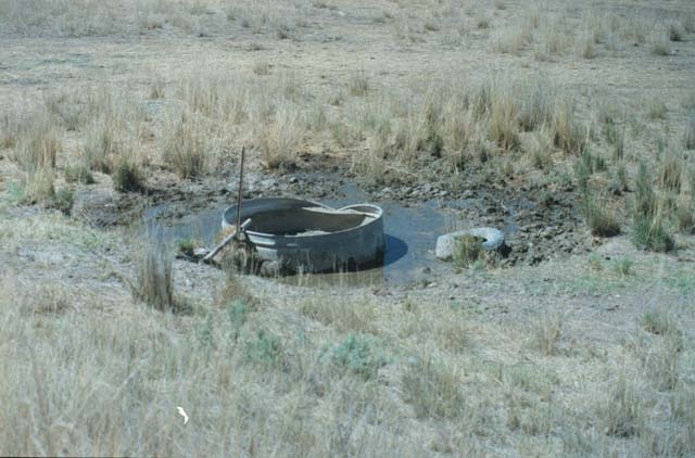 Image63