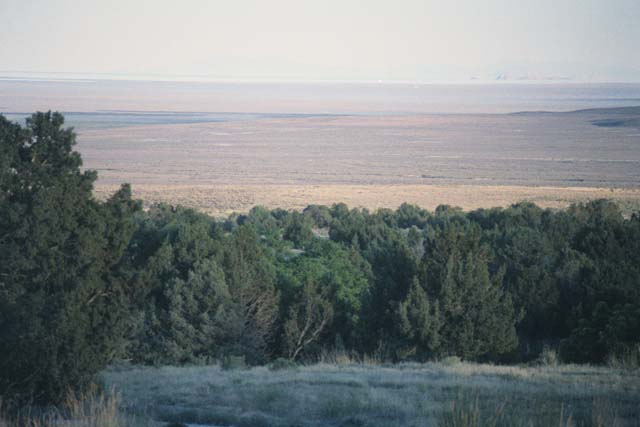 Image77