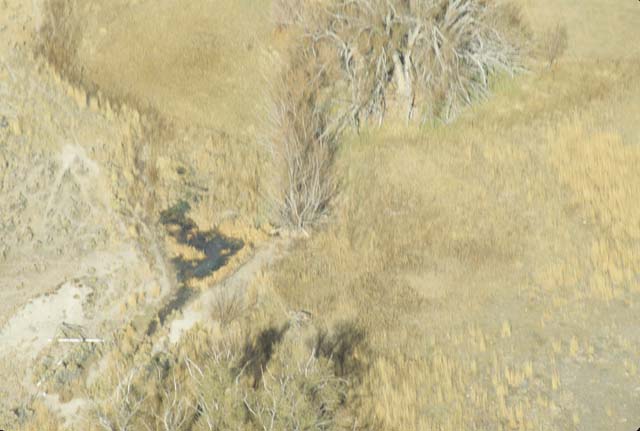 Image78