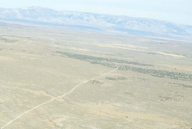 Image80