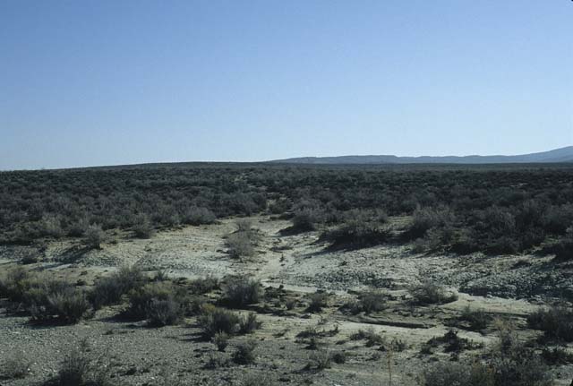 Image81