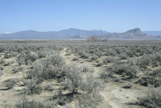 Image91