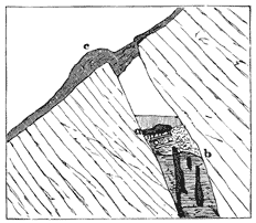 Section of mining shaft