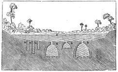 Section showing wells and chultuns below an aguada