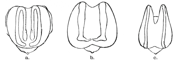Fig. 453.--Positions of feet.