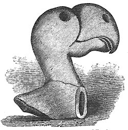 Fig. 14.—Toucan of Squier and Davis.