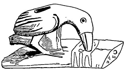 Fig. 17.—Toucan as figured by Stevens.