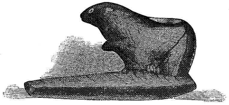 Fig. 5.--Otter of Squier and Davis.
