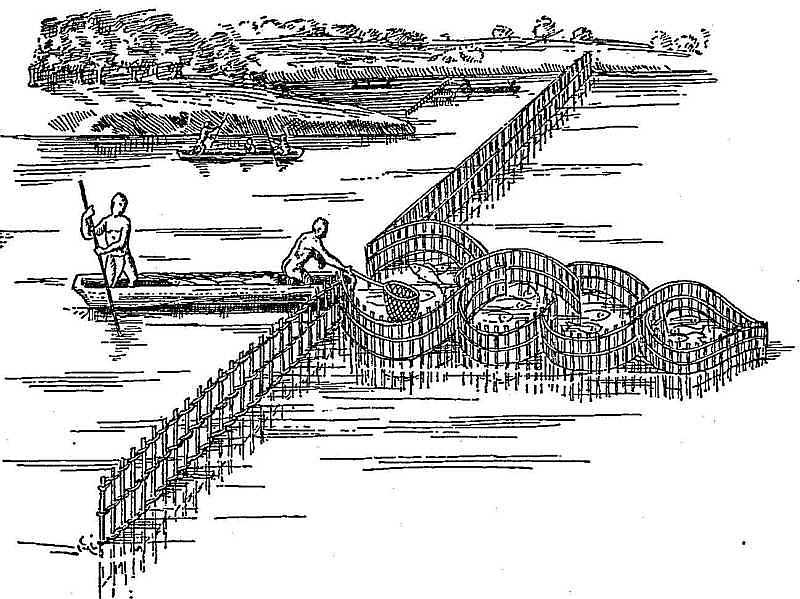 Fish weir of the Virginia Indiana (after Hariot).