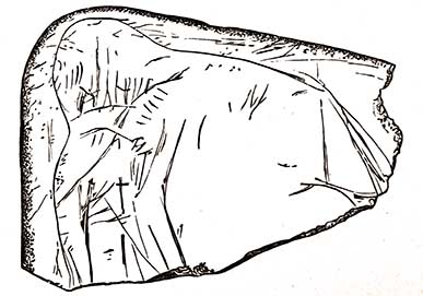 Fig. 11. Mammoth Carving from the Collection of M. Lartet.