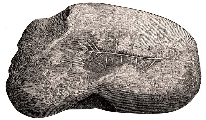 Fig. 20. Carved Banner Stone from the Hansell Farm.