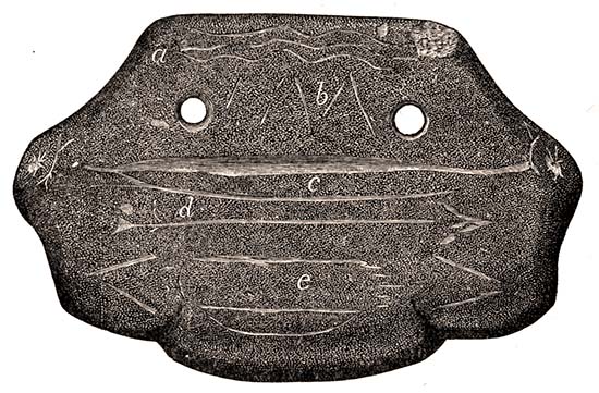 Fig. 23. (Natural size) Carved Gorget Found on the Hansell Farm, January 8, 1885.
