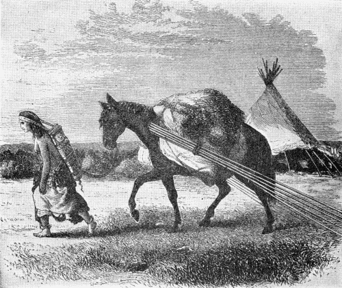 Fig. 3.—Horse travois.