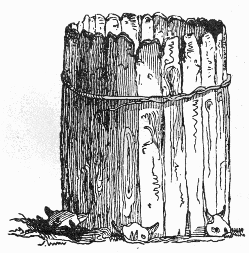 Fig. 5.—"The ark of the first man."