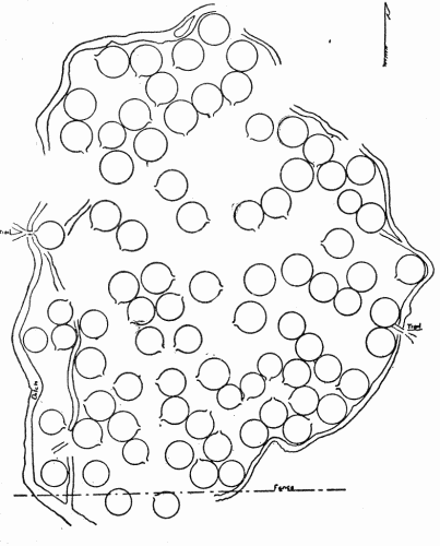 Fig. 12.—Plan of the large Hidatsa village.