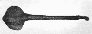 b. Heavy stone maul with handle attached. "Yankton Sioux. Fort Berthold. Drs. Gray and Matthews, U. S. A." Extreme length about 2 feet 2 inches. (U.S.N.M. 6325)