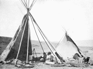 b. Crow camp at the old agency on the Yellowstone, near Shields River. Photograph by W. H.  Jackson, 1871 CROW TIPIS