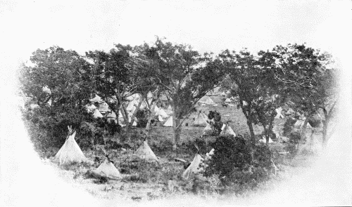 A CAMP IN A COTTONWOOD GROVE Photograph not identified, but probably made by J. D. Hutton