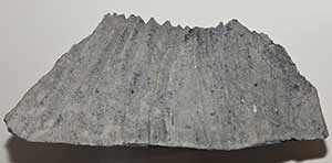 Limestone Fluted by Weathering