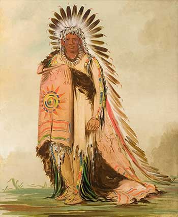 Wá-ee-ton; Chief of the Sus-se-ton band, Upper Missouri