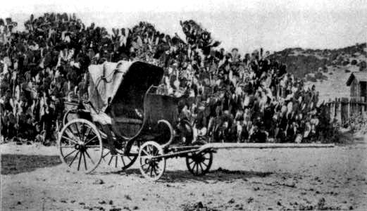 GENERAL VALLEJO'S CARRIAGE, BUILT IN ENGLAND IN 1832