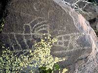 Rush Lake Petroglyph