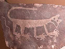 Mountain Lion Petroglyph