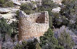 Cutthroat Castle Group, Hovenweep