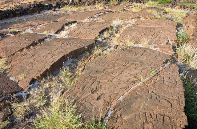 Puako Petroglyph Site