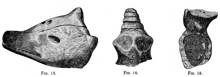 Squier: Fig. 13-15
