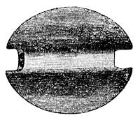 Squier: Fig. 19